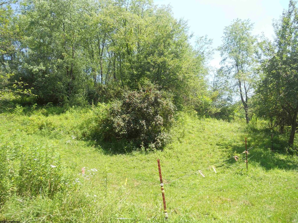 Picture 3