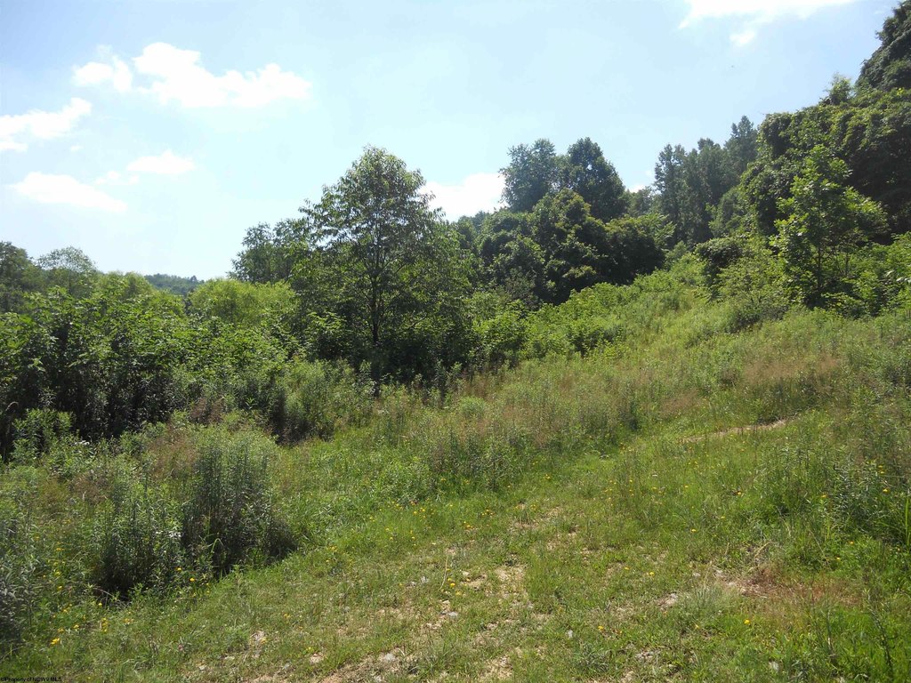 Picture 6