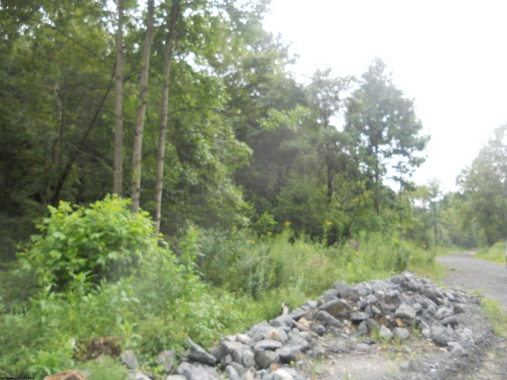 Picture 14