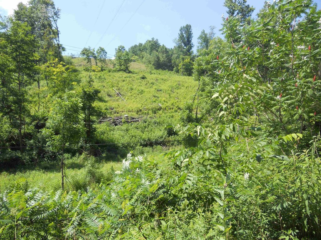 Picture 9