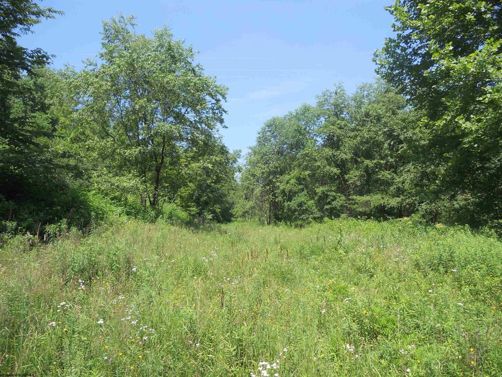 Picture 5