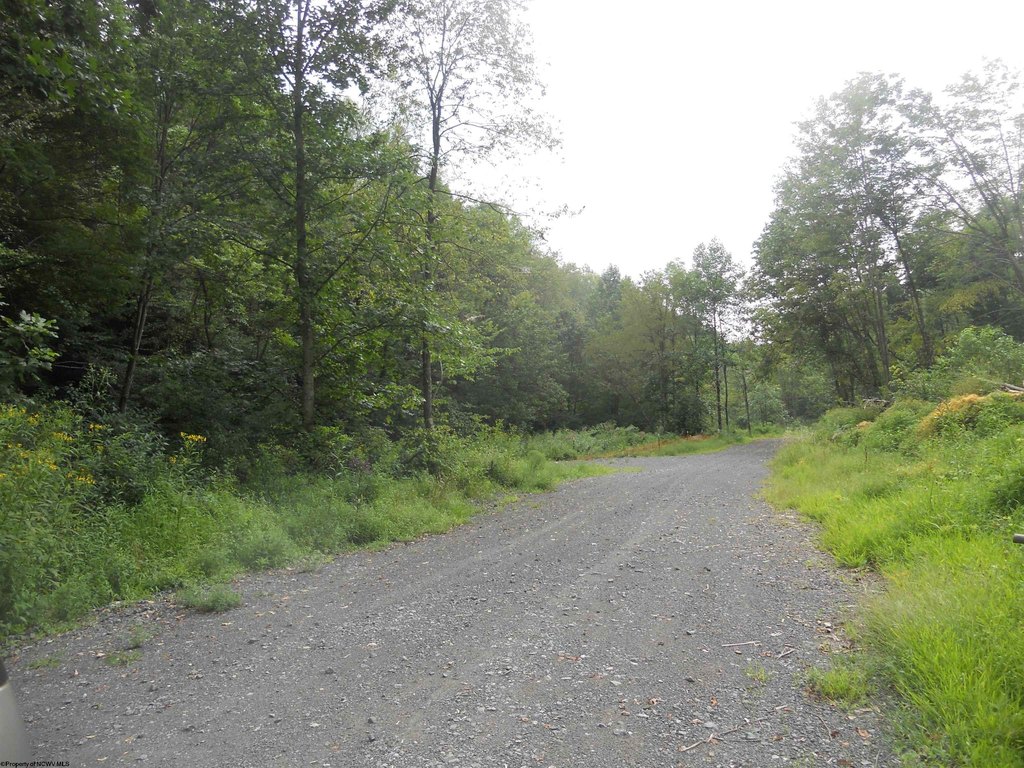 Picture 11