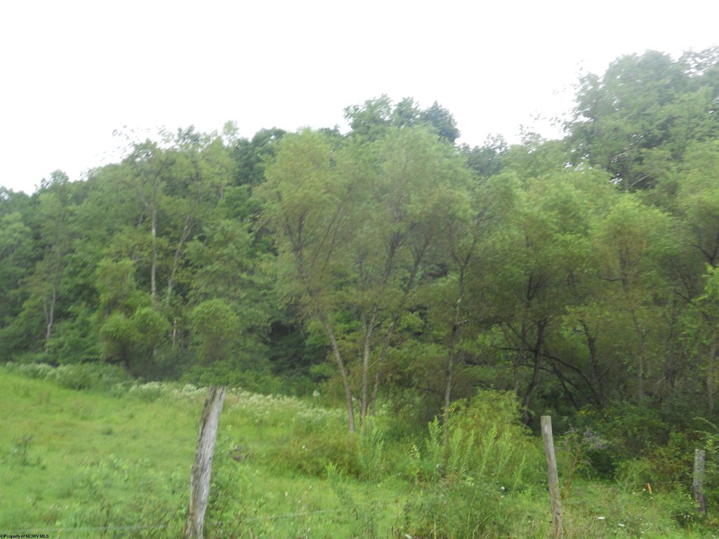 Picture 15