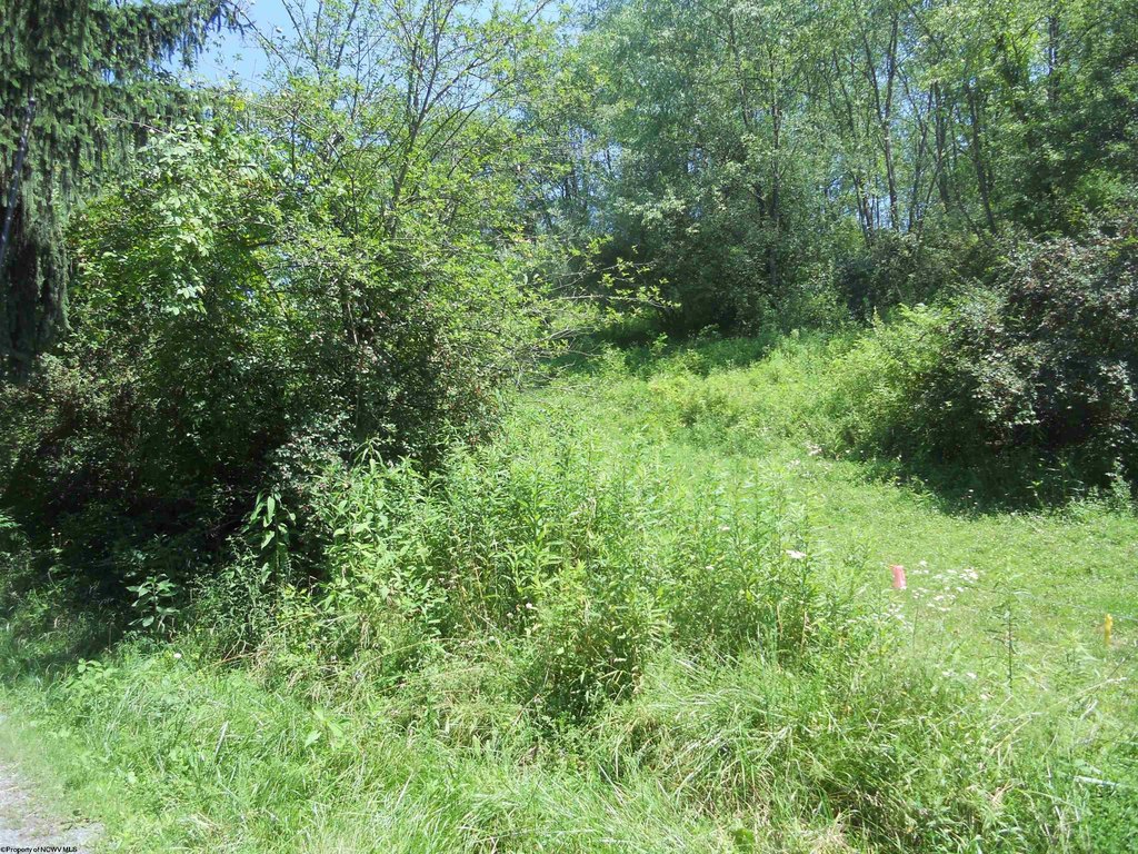Picture 4