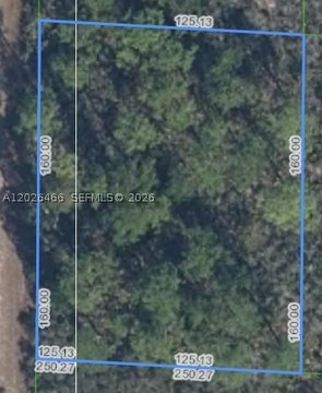 LAND - Lake Placid, FL