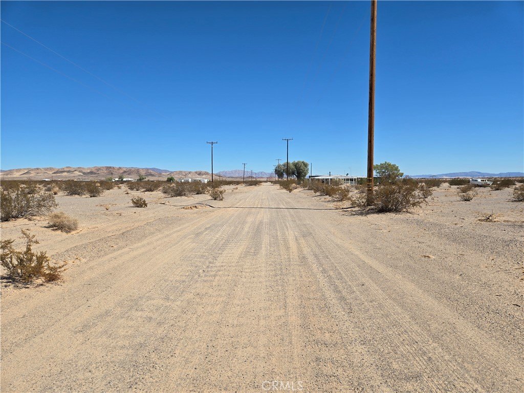 Picture 5