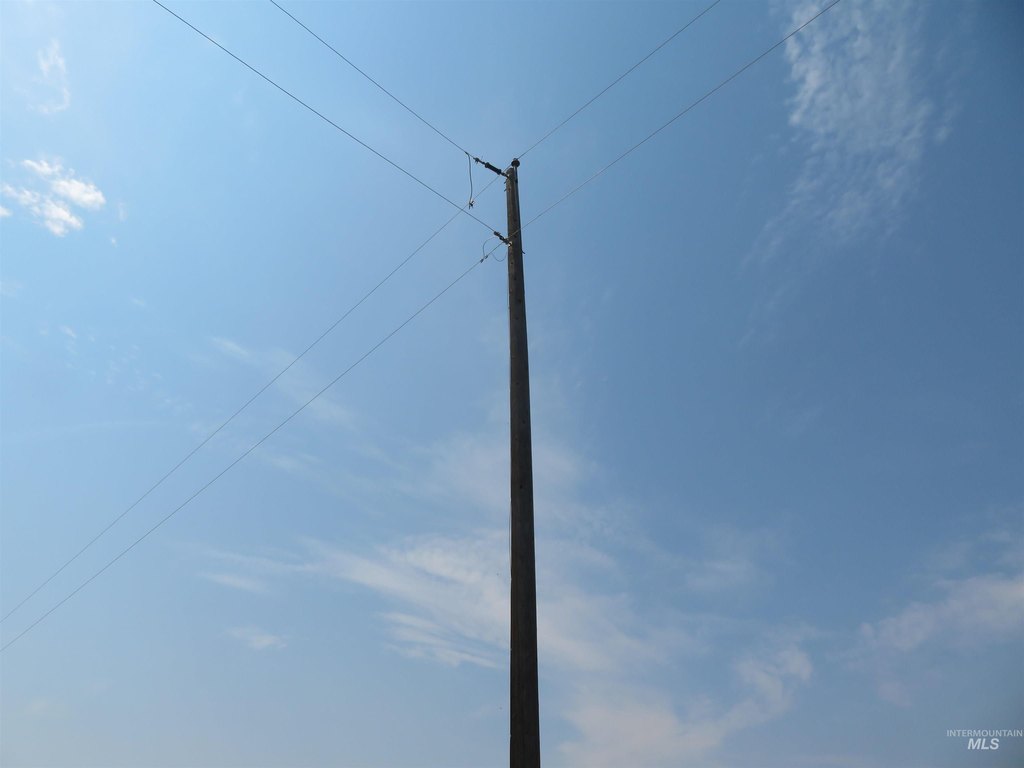 Picture 15
