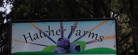 Certified Organic Blueberry Farm