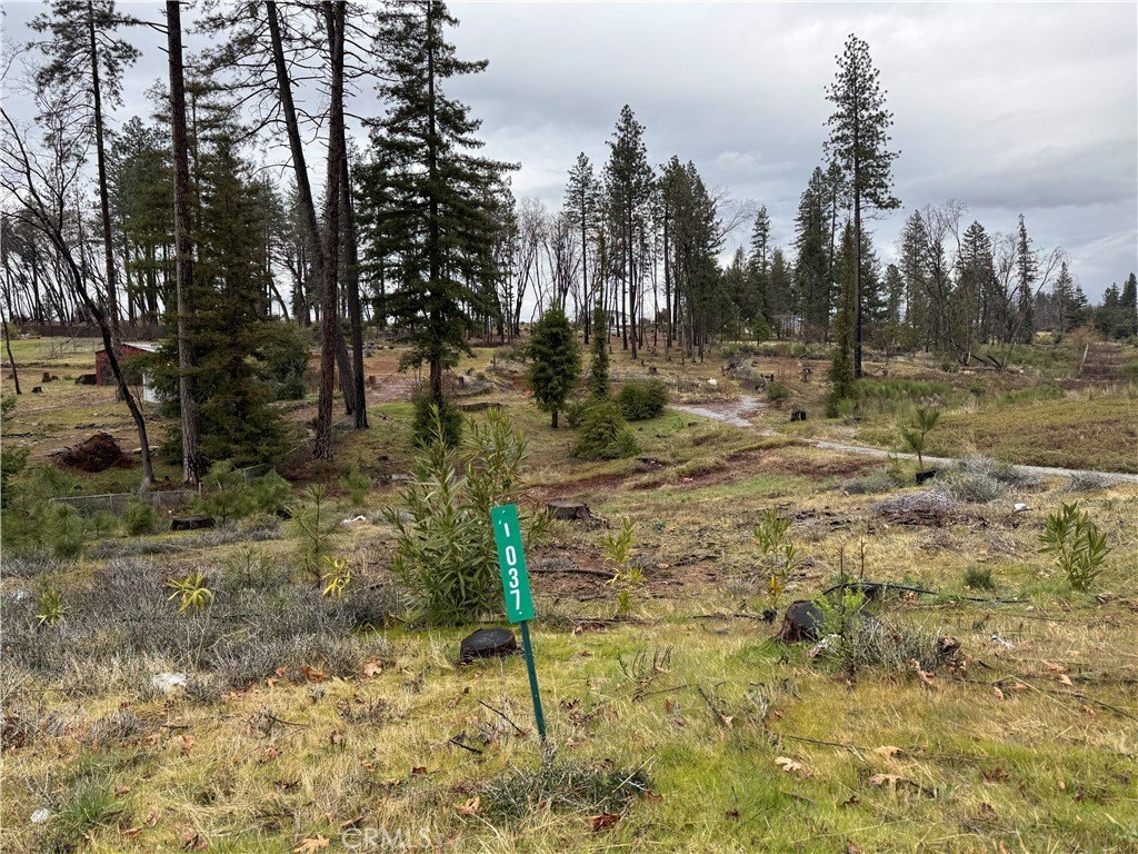 One-Acre Lot on Thomasson Lane