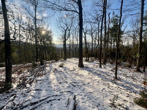 57+ Acre Rural Land Parcel