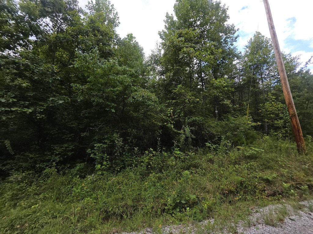Picture 3