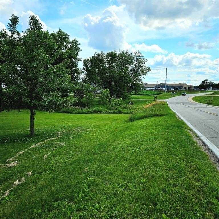 Picture 6