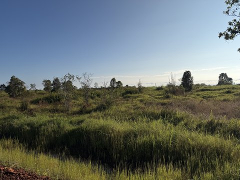 Mountain View Land For Sale