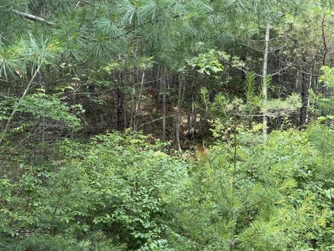 LAND - Bremen, ME