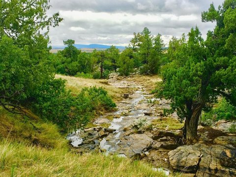 Land, Rye, CO
