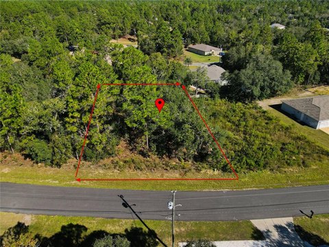 Land, CITRUS SPRINGS, FL