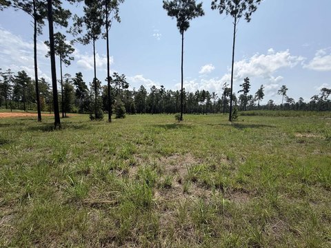 Land, Brookeland, TX
