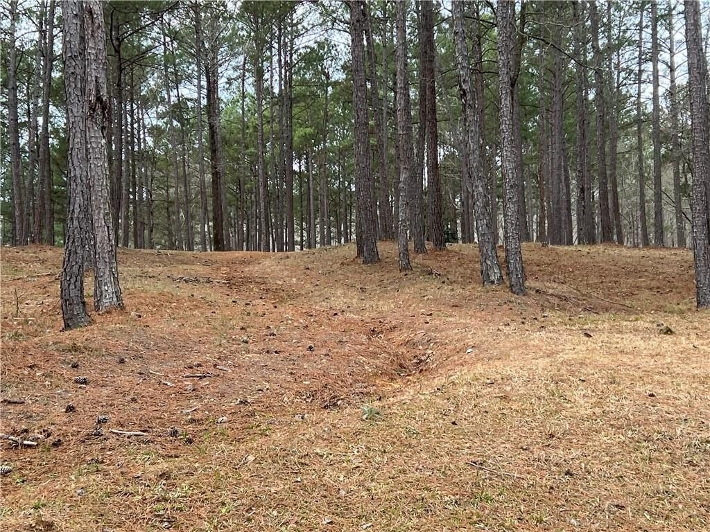 Picture 6