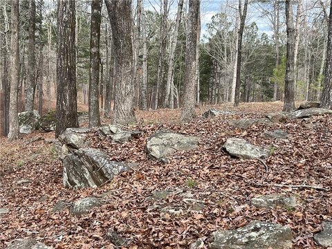 Secluded Acreage Near St. Andrews