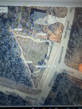 Runaway Bay Treed Corner Lot