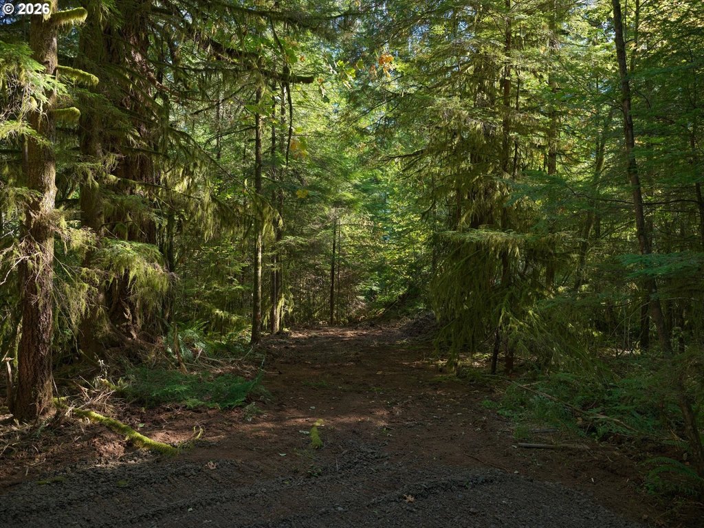 Picture 26