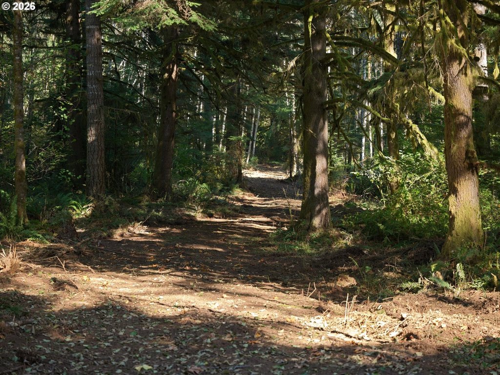 Picture 10