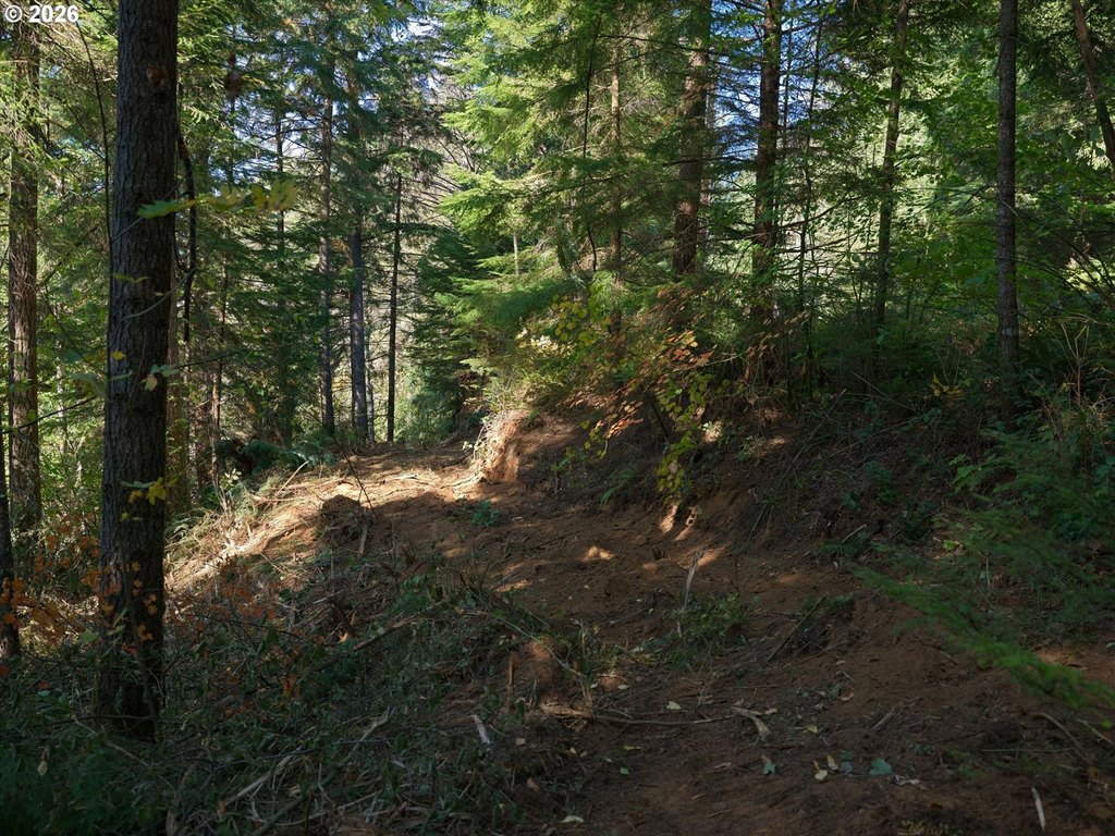 Picture 23