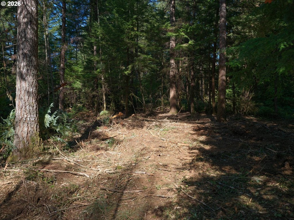 Picture 21