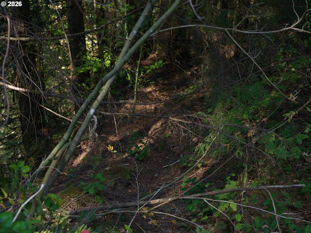 Picture 31
