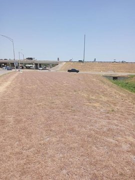 Commercial Development Land Opportunity