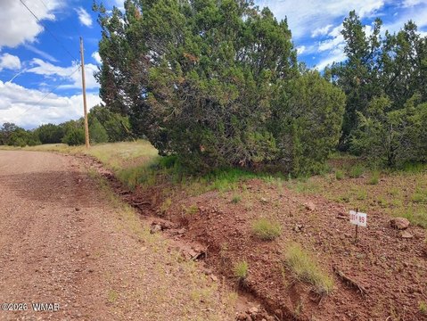 Land, Vernon, AZ