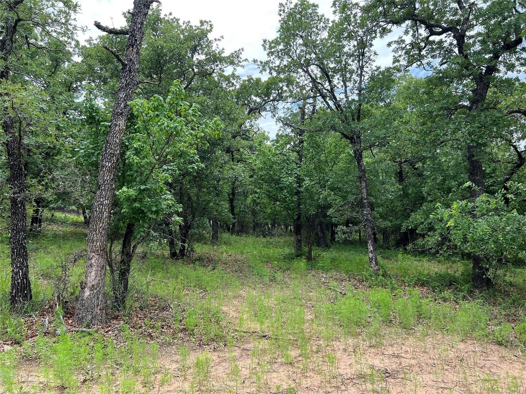 Picture 31