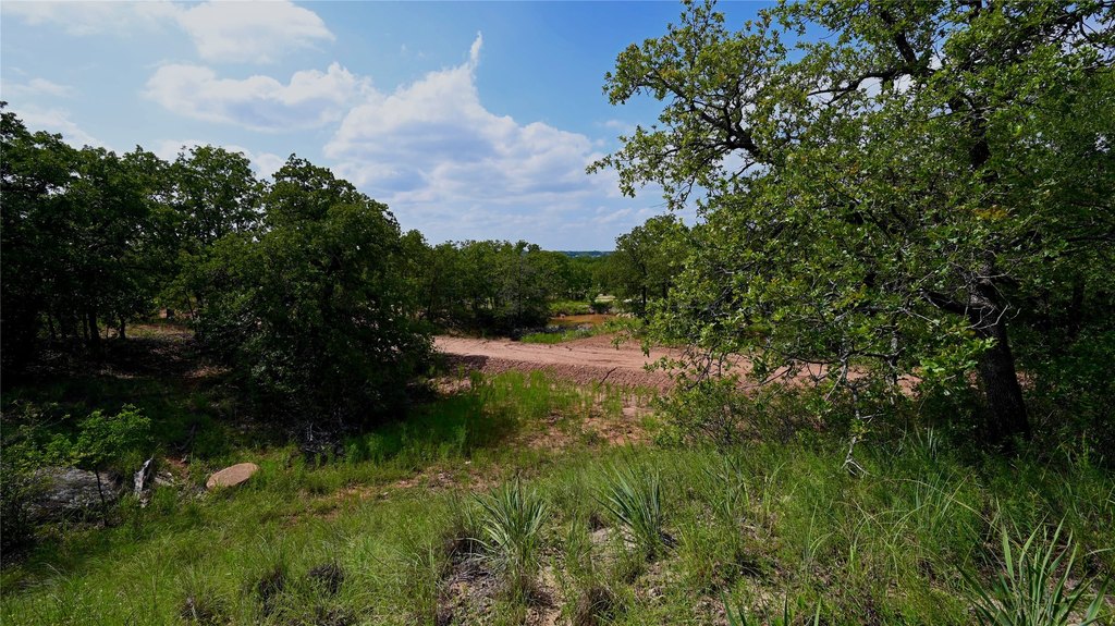 Picture 21