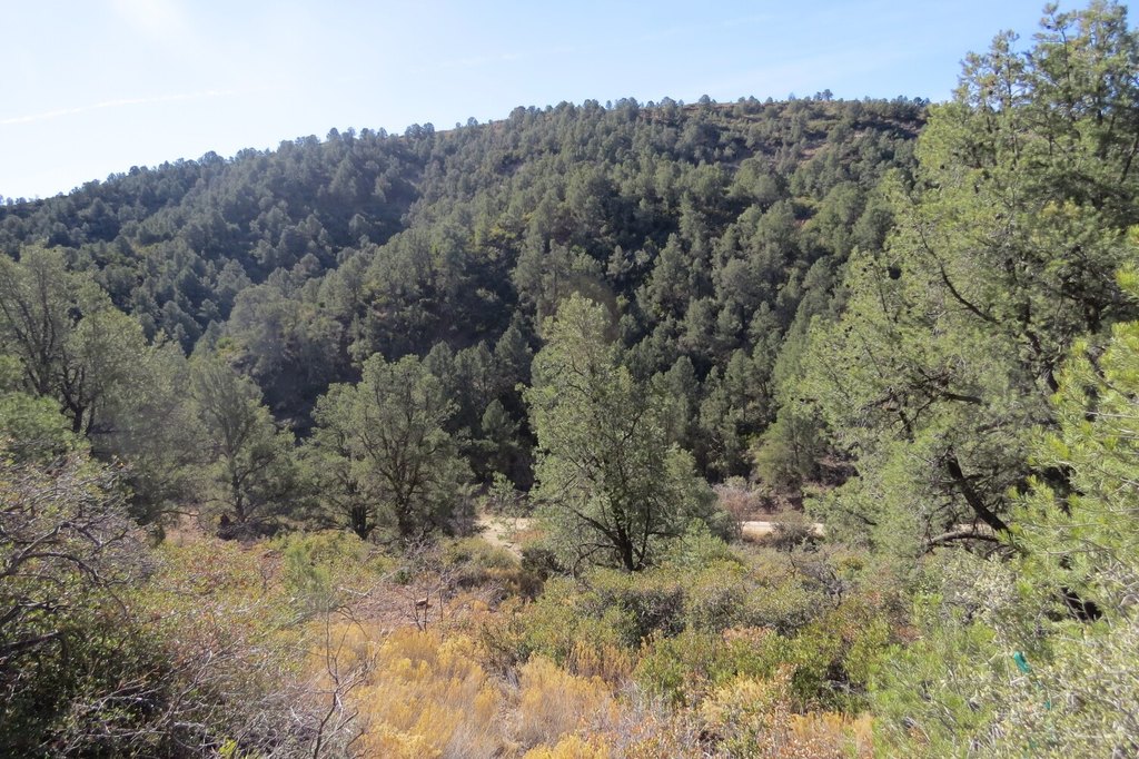 Picture 19