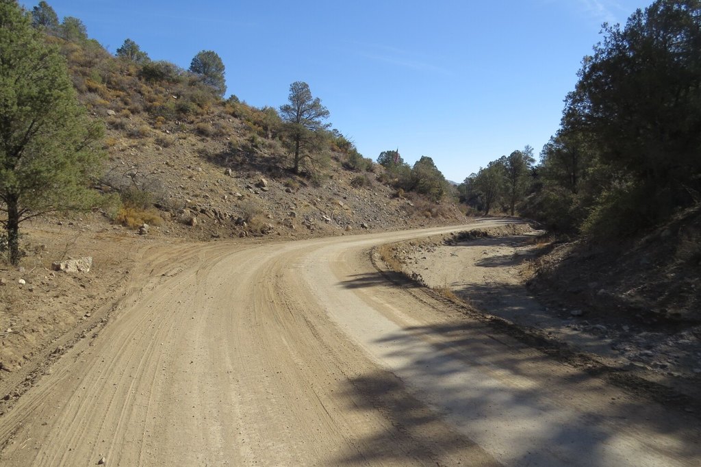 Picture 25