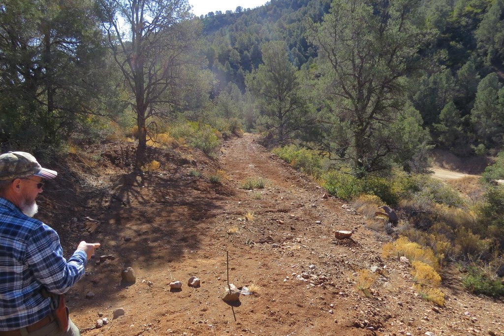 Picture 6