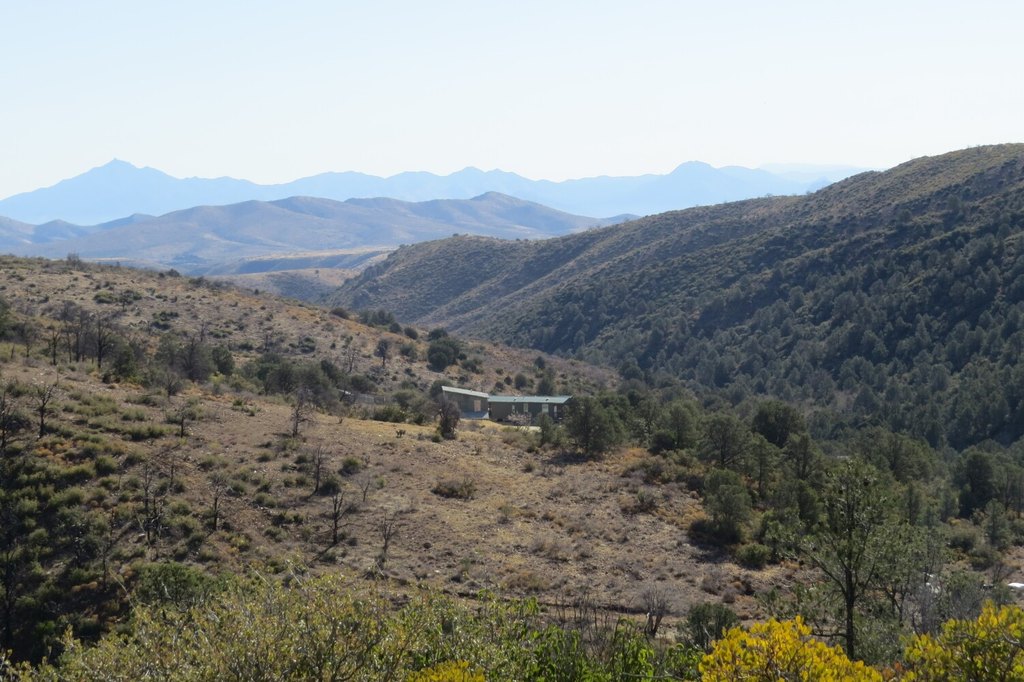 Picture 5