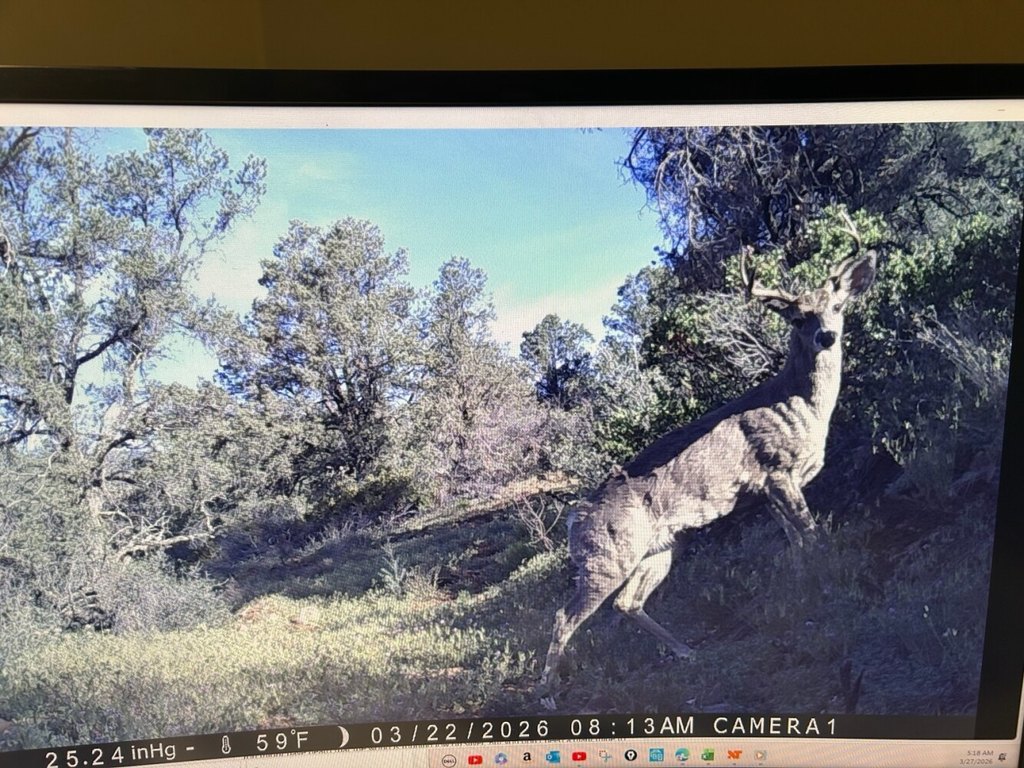 Picture 3