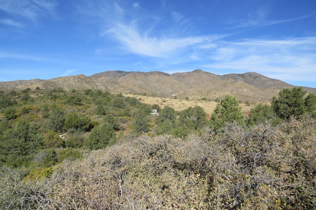 Picture 12