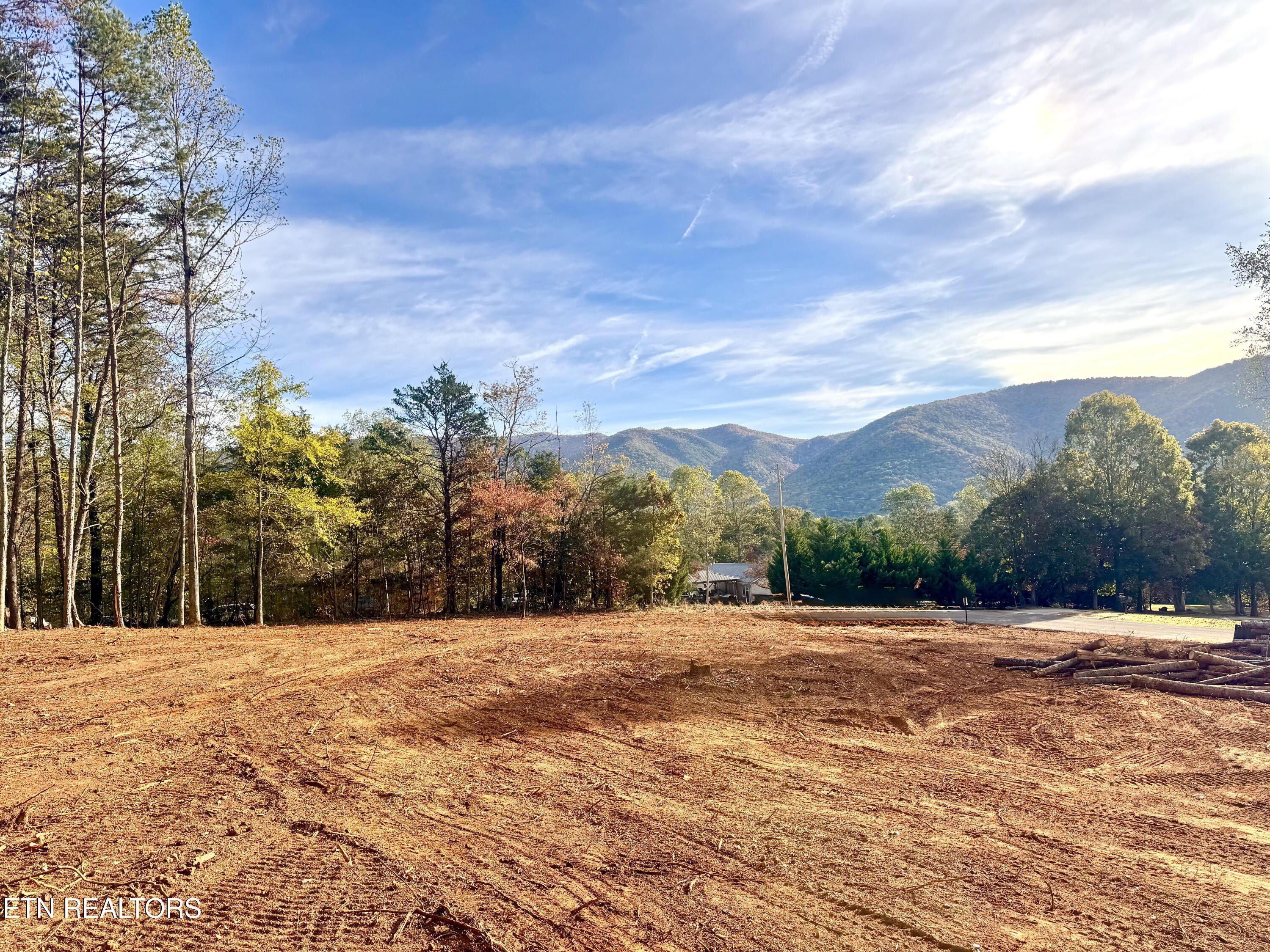 Cosby, TN Cleared Land