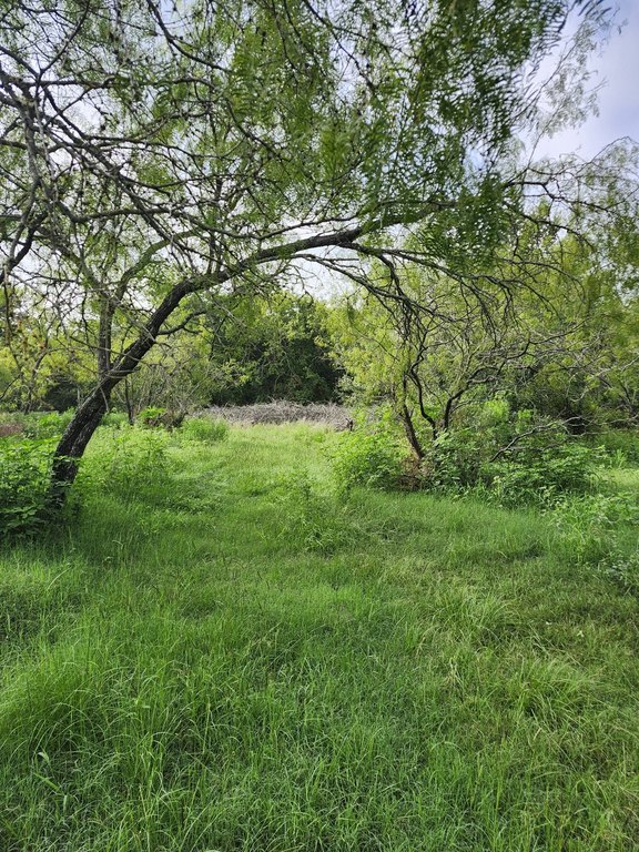 Picture 7