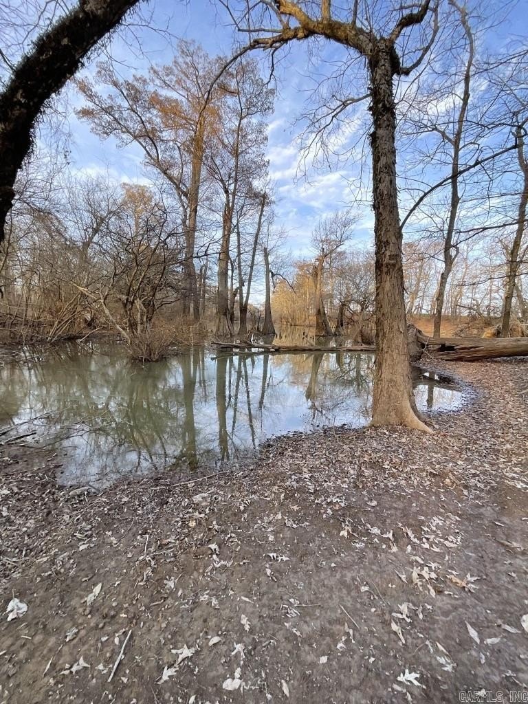 Bayou Meto Waterfront Land