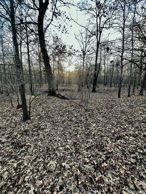 Picture 21