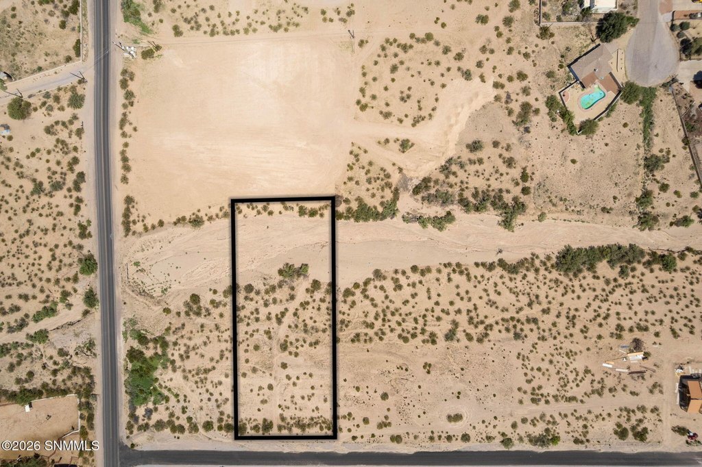 Picture 5