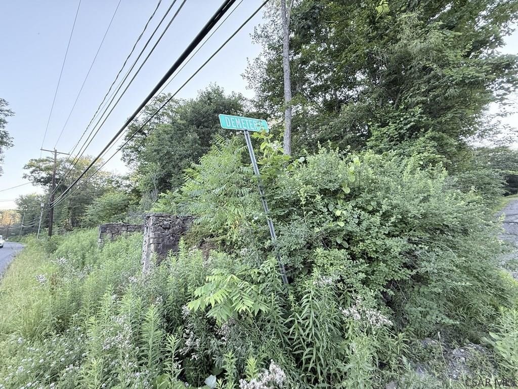 Picture 8