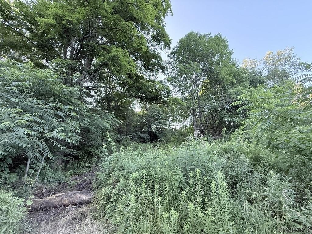 Picture 6