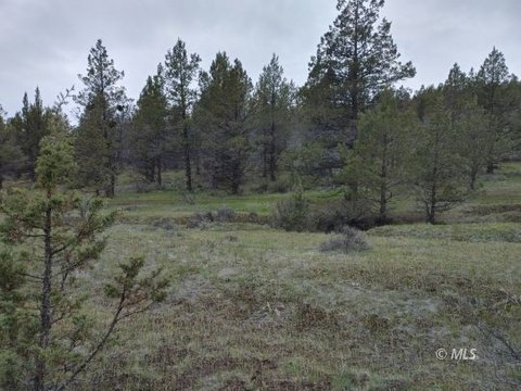 20 Acres Buildable Land Parcel