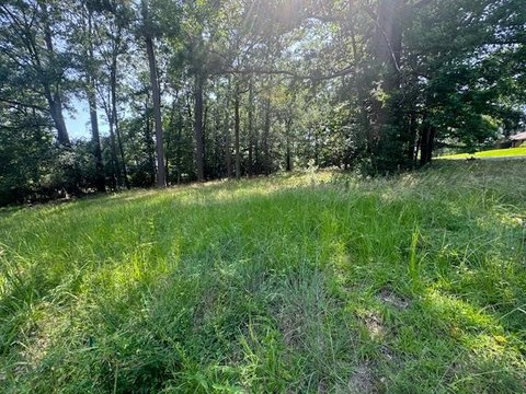 Residential Land in Jasper, TX
