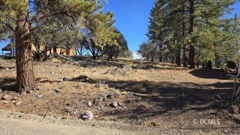 Panguitch Lake Recreational Lot