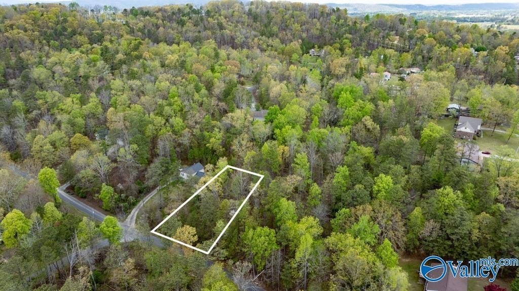 Residential Land in Southside, AL